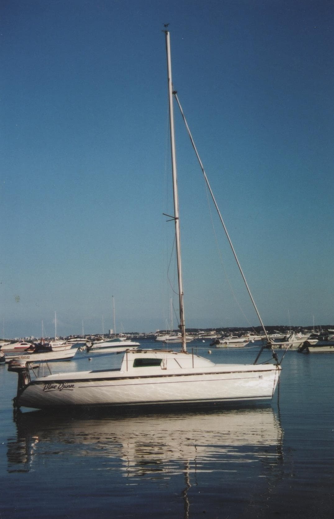Voile_liberté (10)