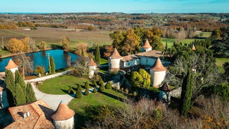 Vue aérienne 2 Couronneau