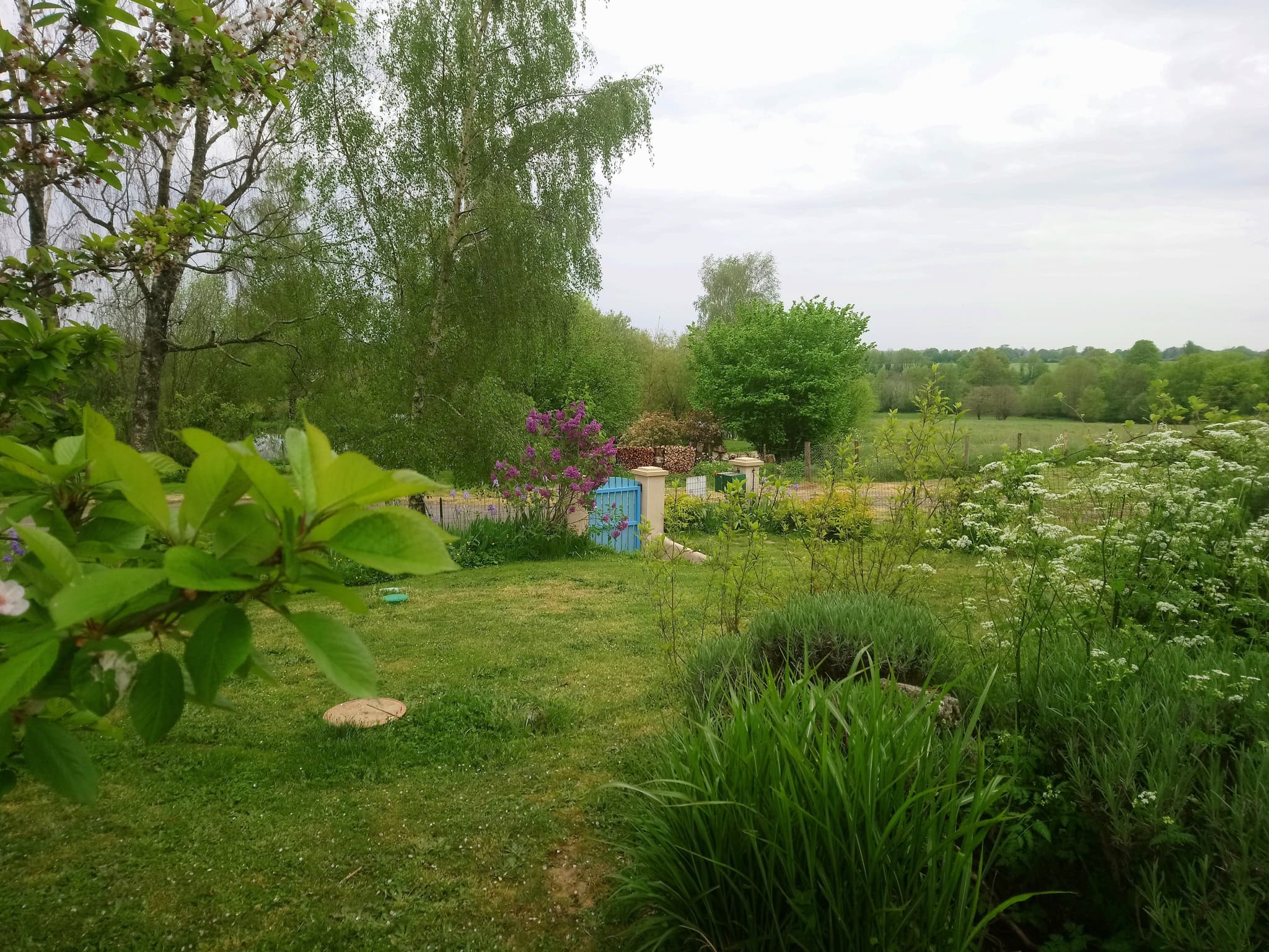 Vue campagne de la terrasse