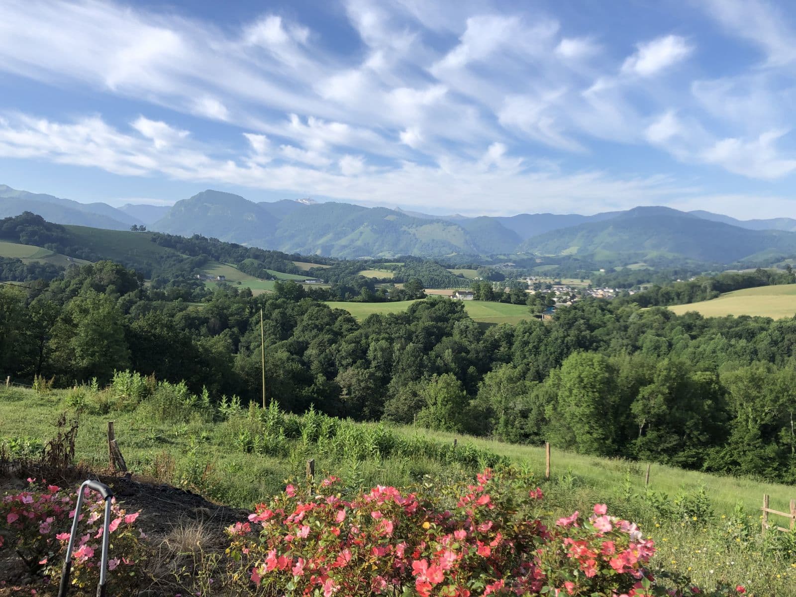 Vue depuis le gîte