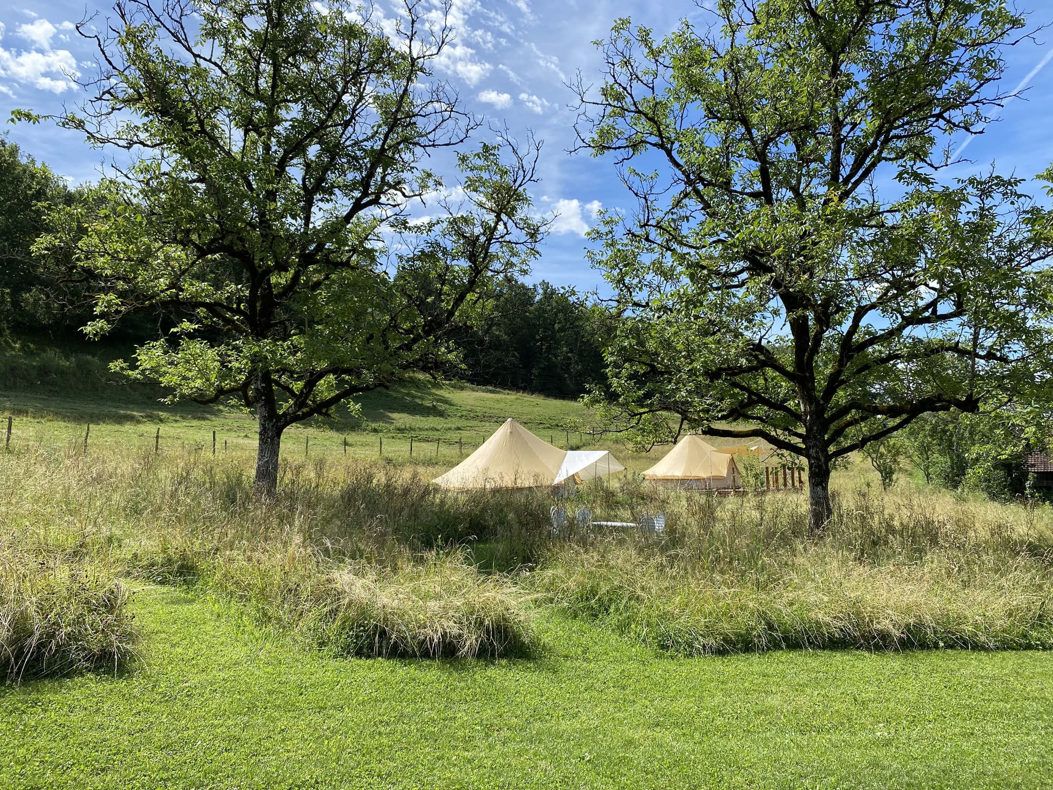 Vue sur le camping_8