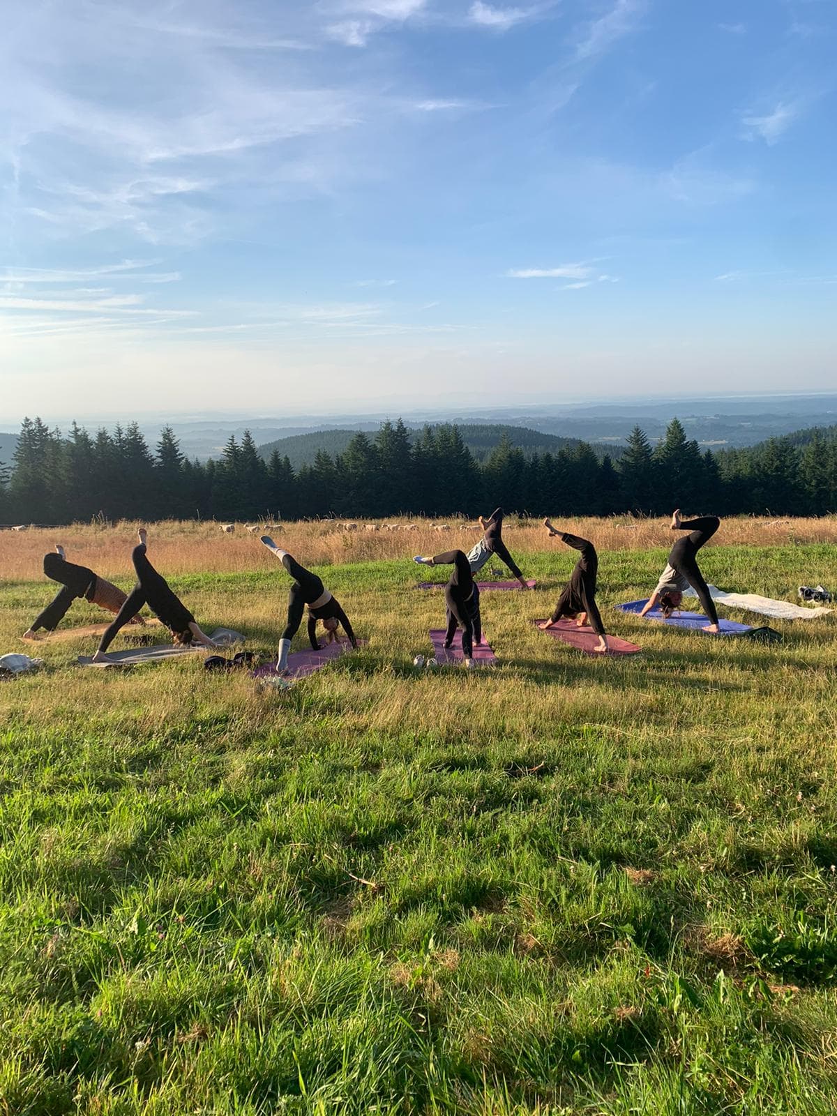 YOGA MEYMAC