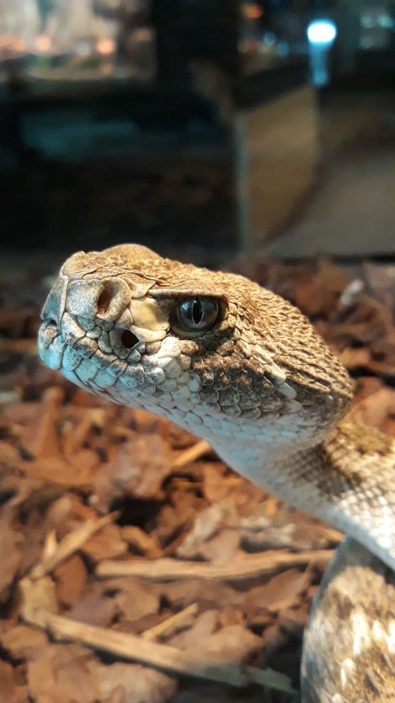 Zoo de Mescoules (7)