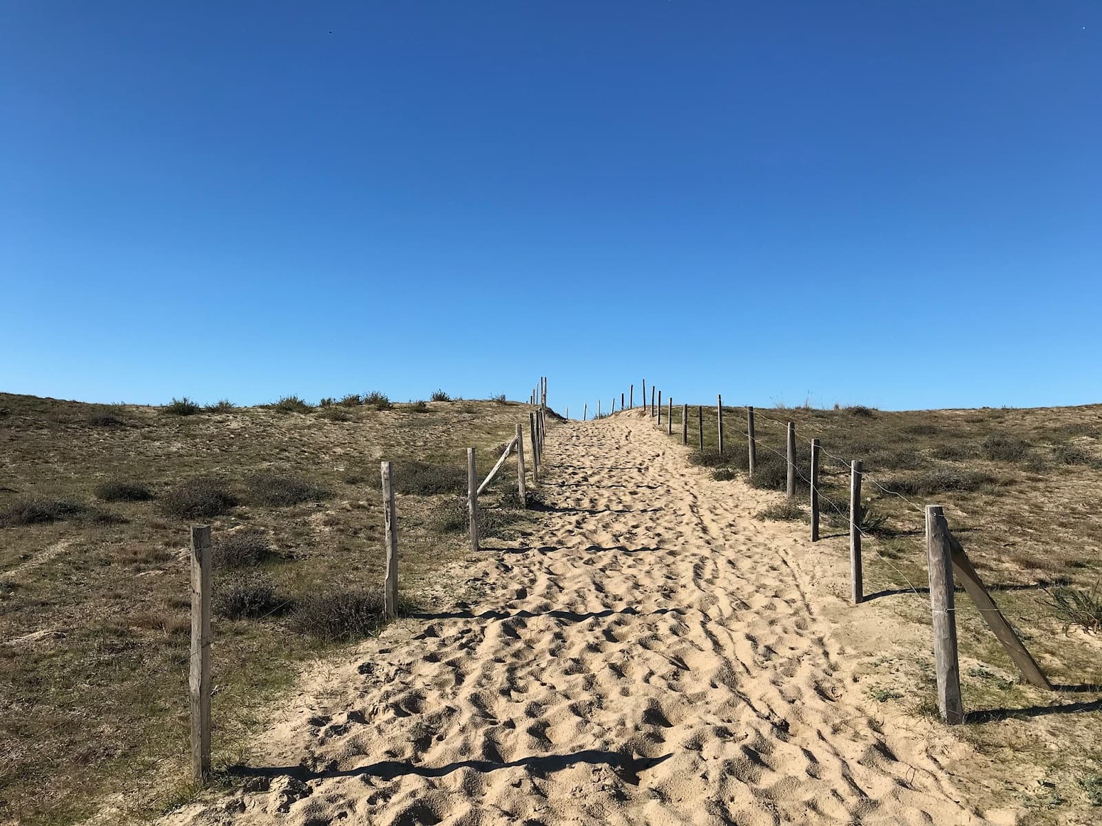 Zen Océan accès plage Vensac