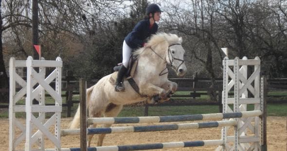 Centre équestre le Logis du Poney_1