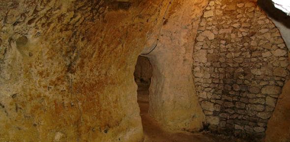 Habitat Refuge Cavernicole Troglodytique_1