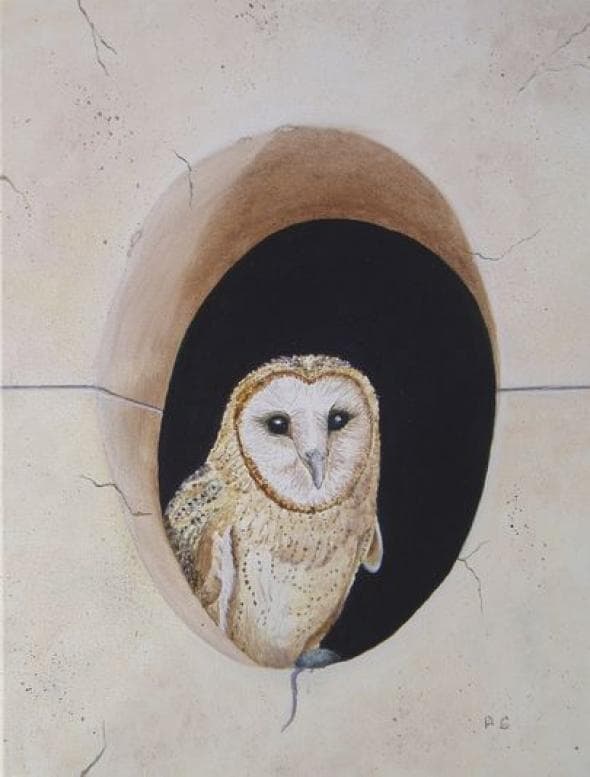 Patricia Guillaume-Peintures-personnalisées