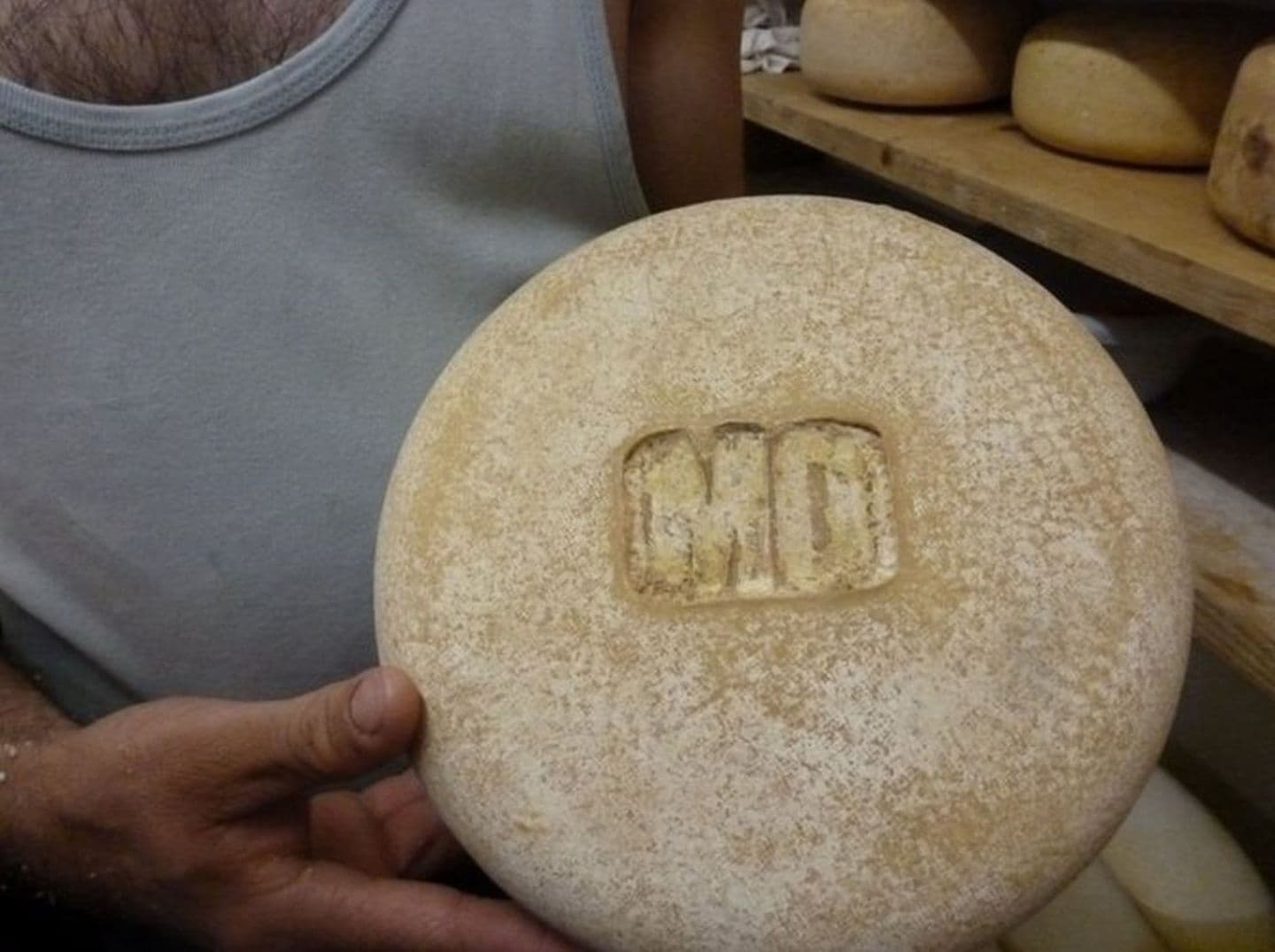 Fabrication du fromage pour brebis fermier