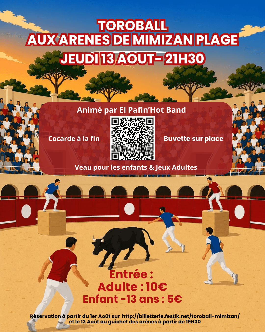affiche toroball