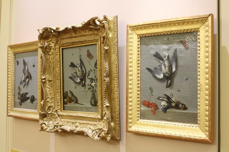 agen-musée-beaux-arts©Benoît Ducos