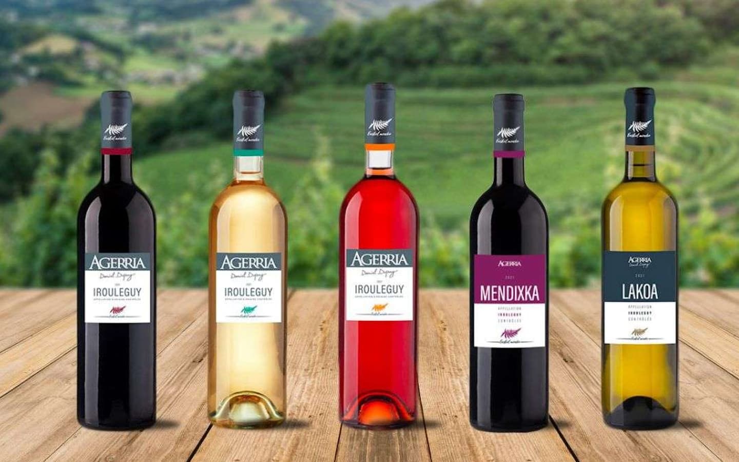 Vins Agerria