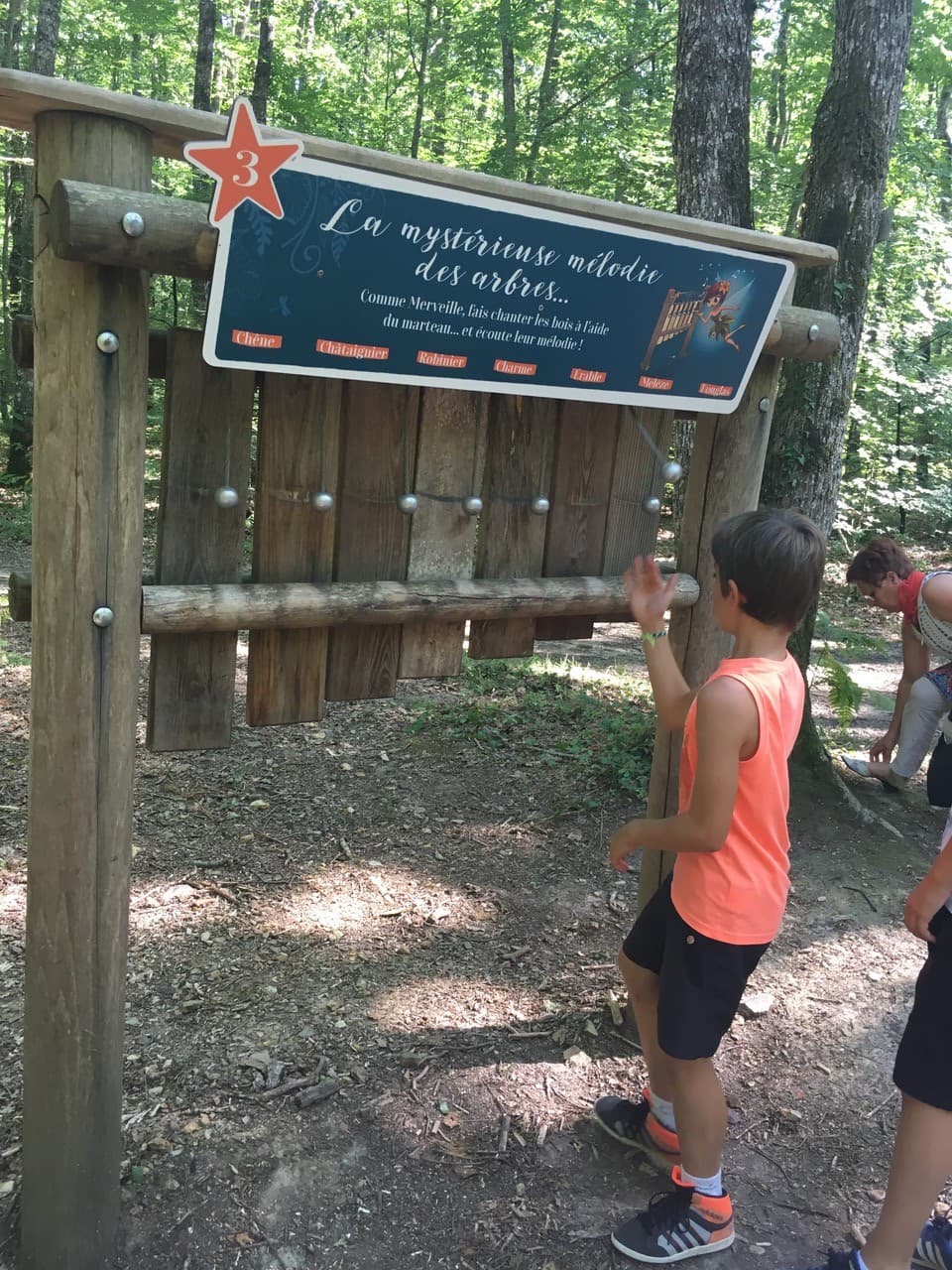 Forêt domaniale de Vouillé-Saint-Hilaire_2