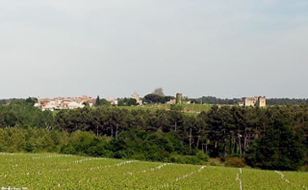 aire pic-nic Fargues