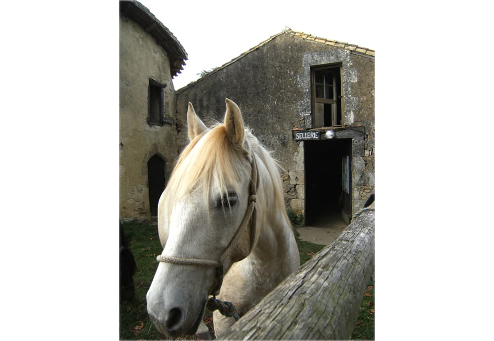 Relais équestre de Villenon_3