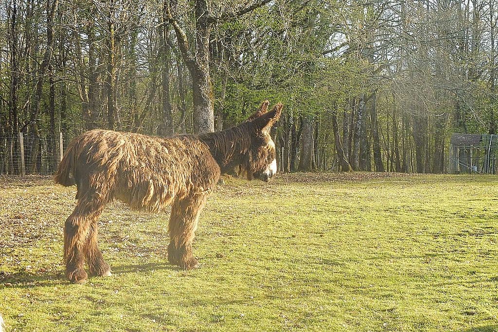 Mielys Sphere Ferme pédagogique Périgord Dordgne ateliers enfant vacances