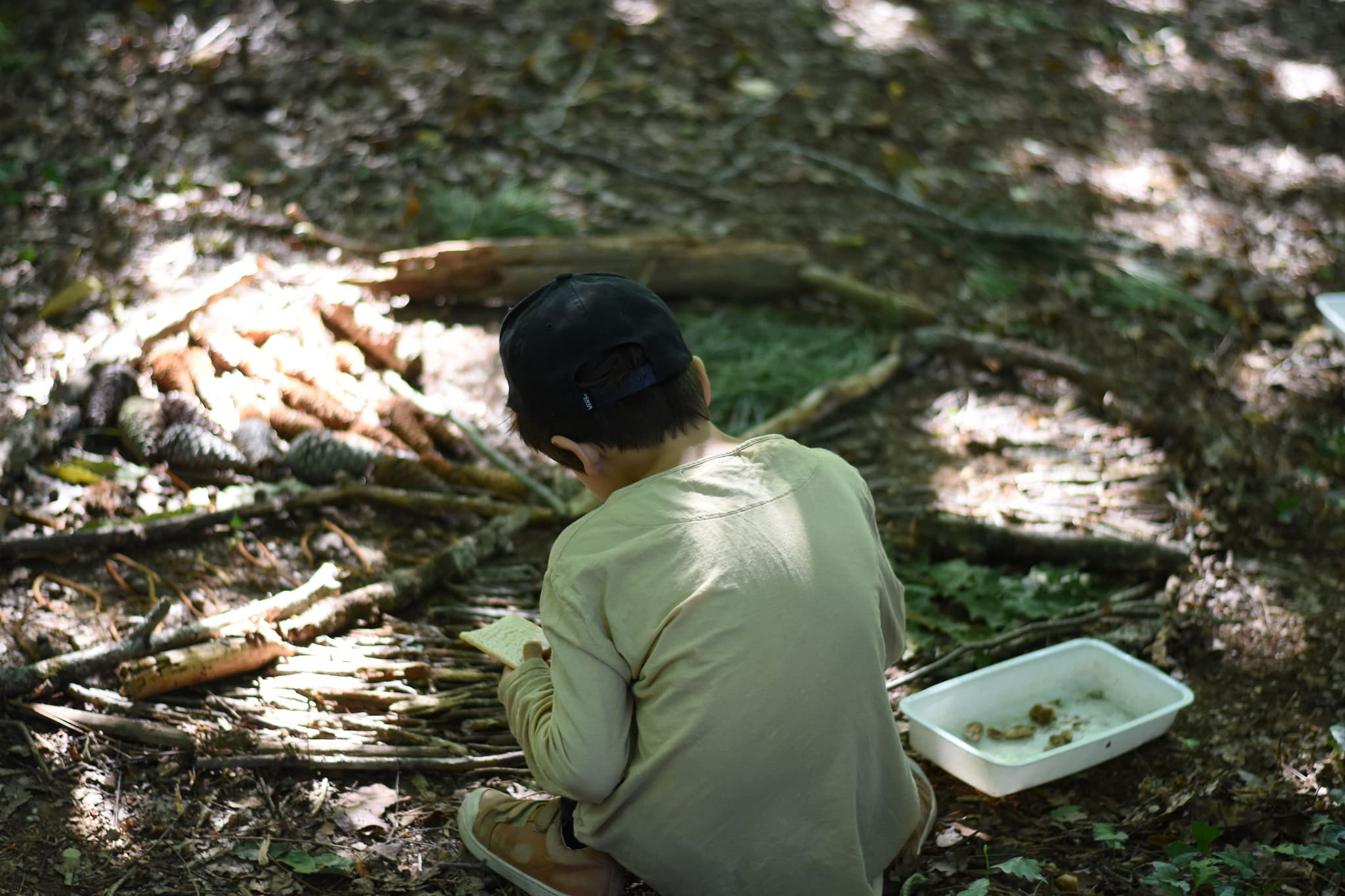 anim atelier de la forêt1