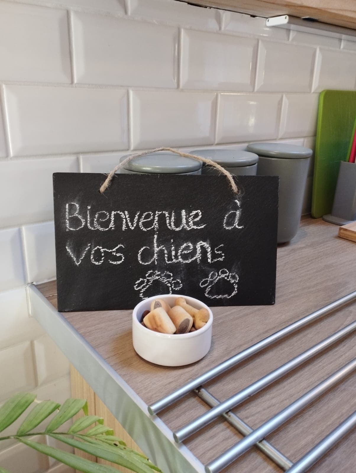 animaux bienvenus