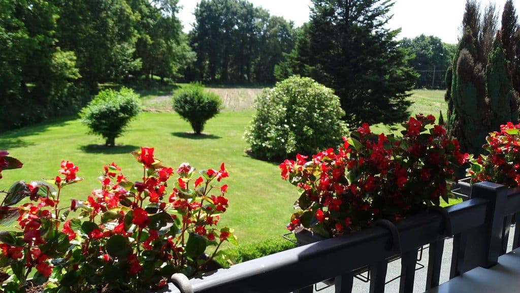 appartement-hicauber-soustons-12