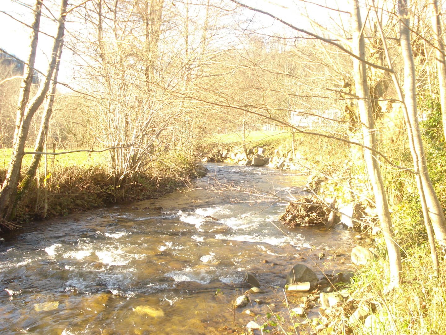 appartement pierre etcheverry riviere ahaxe