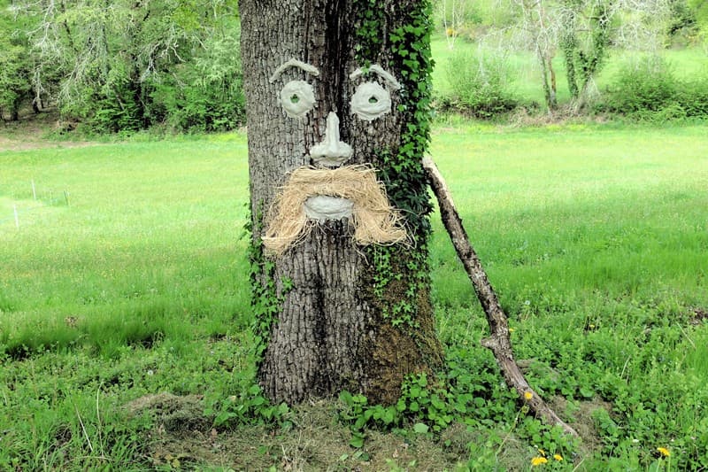 arbres ondines