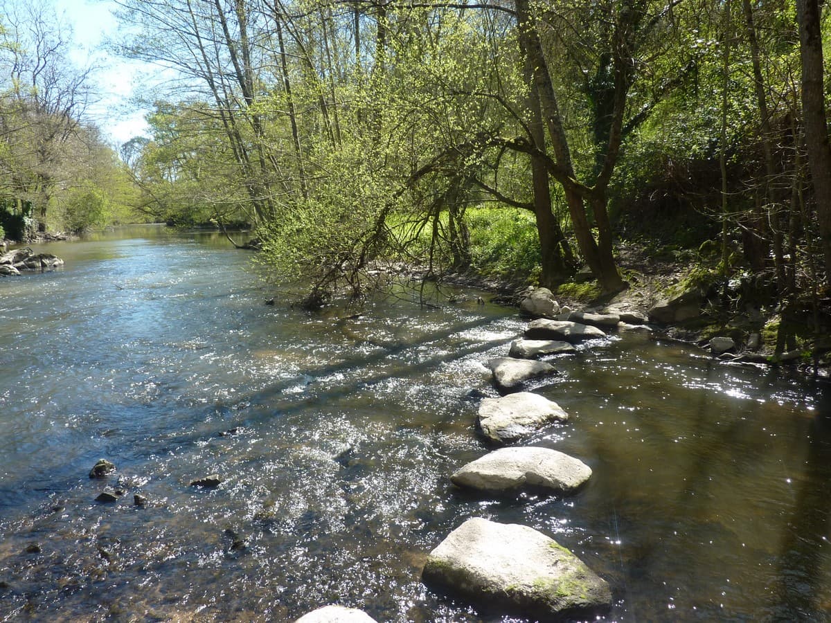argentonnay-9
