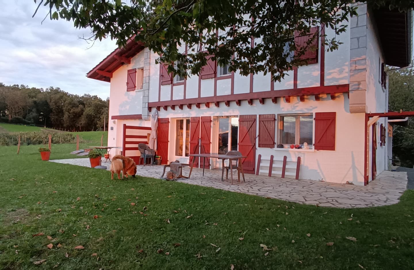 argi-locations-maison-basque2 6