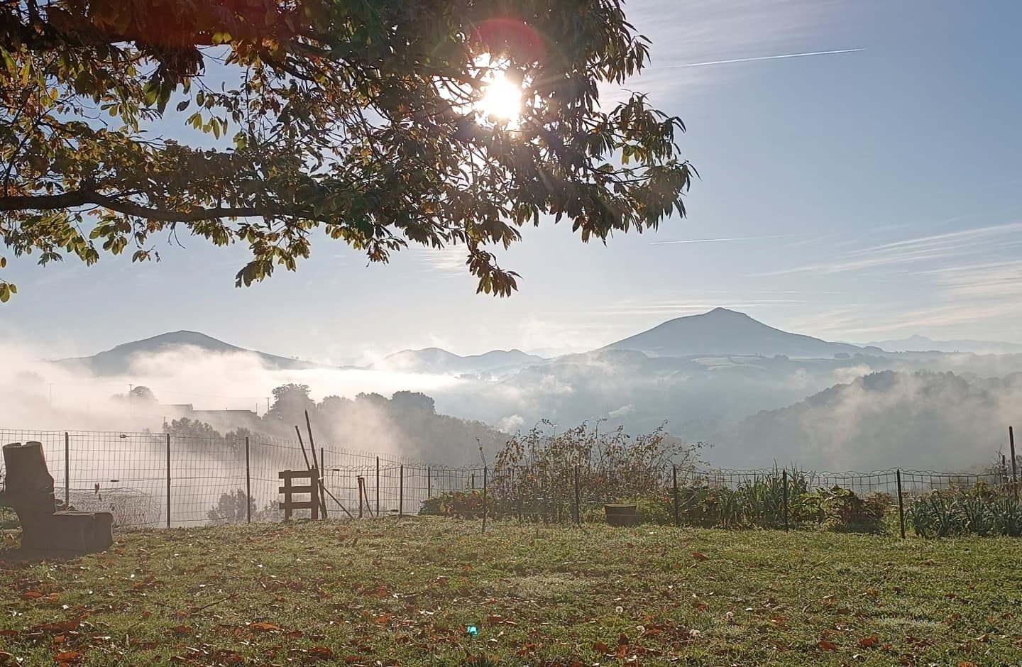 argi-locations-vue4 11