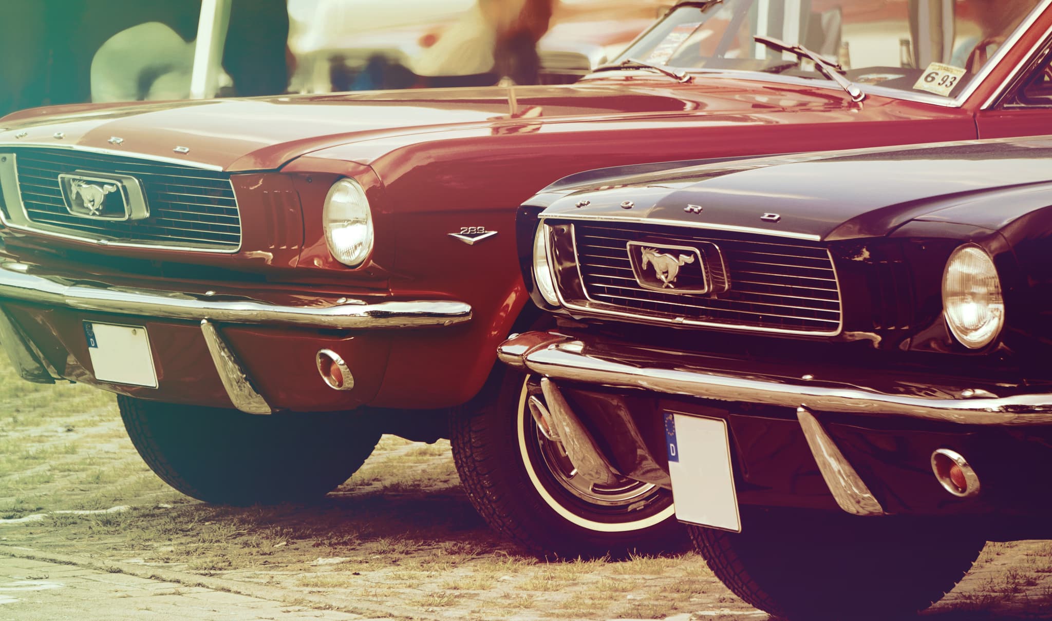ariellefisch-automobile-2523975_1