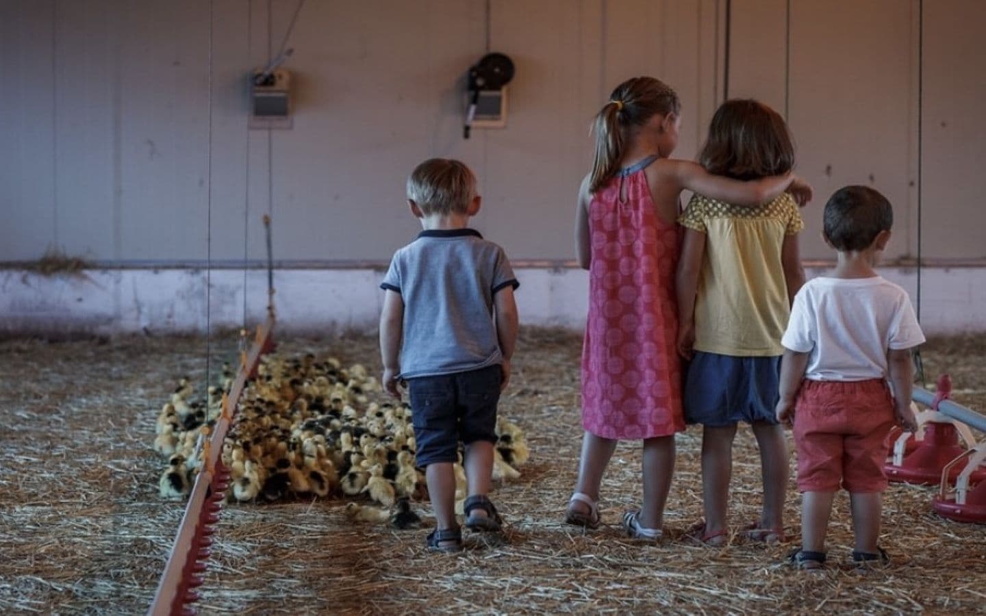 Ferme Arnabar - Enfants