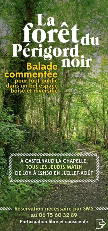 arnaud_fpn_web_flyer