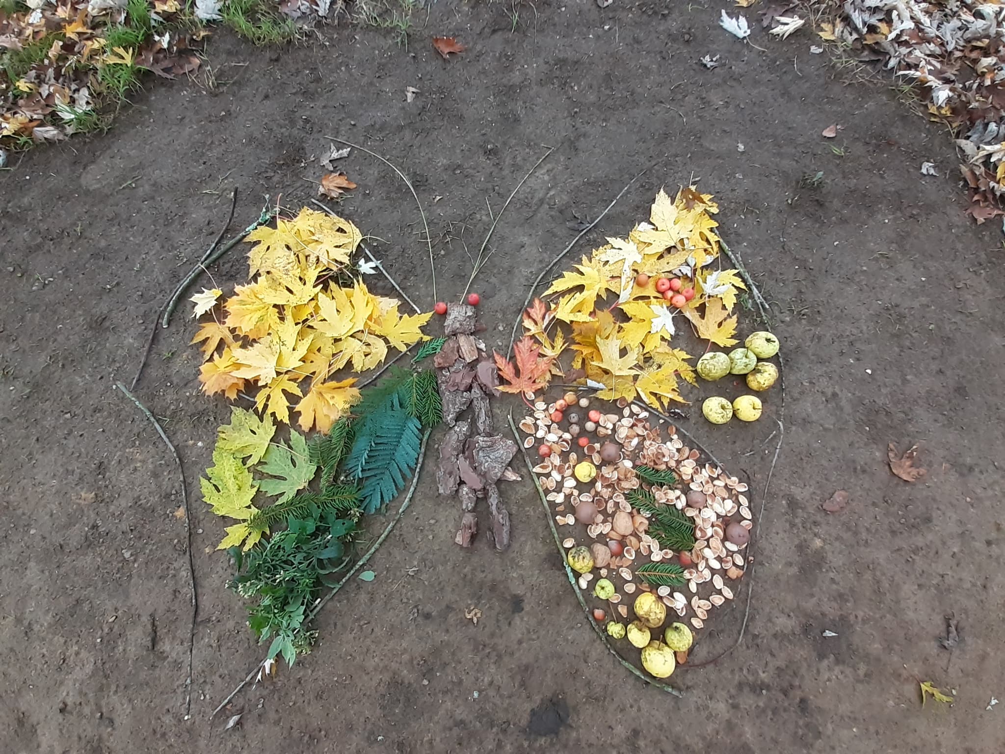 art et nature