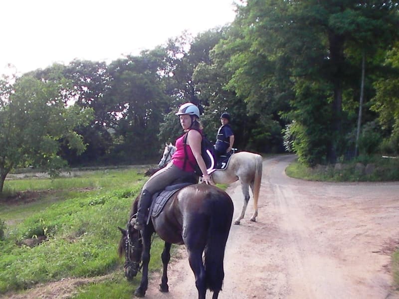 au-cheval-qui-brouste-balade-adulte