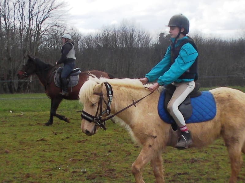 au-cheval-qui-brouste-cours