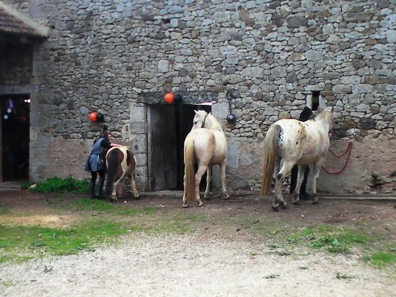 au-cheval-qui-brouste-preparation