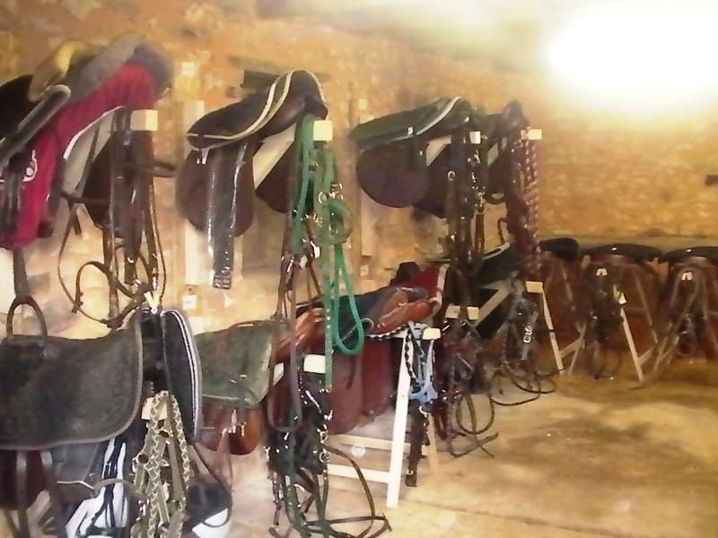 au-cheval-qui-brouste-sellerie