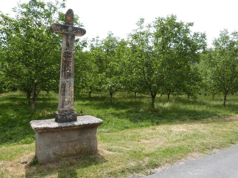 aubas sirtaqui2