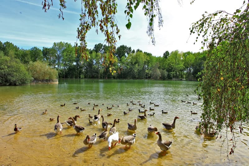 auberge etang bleu1