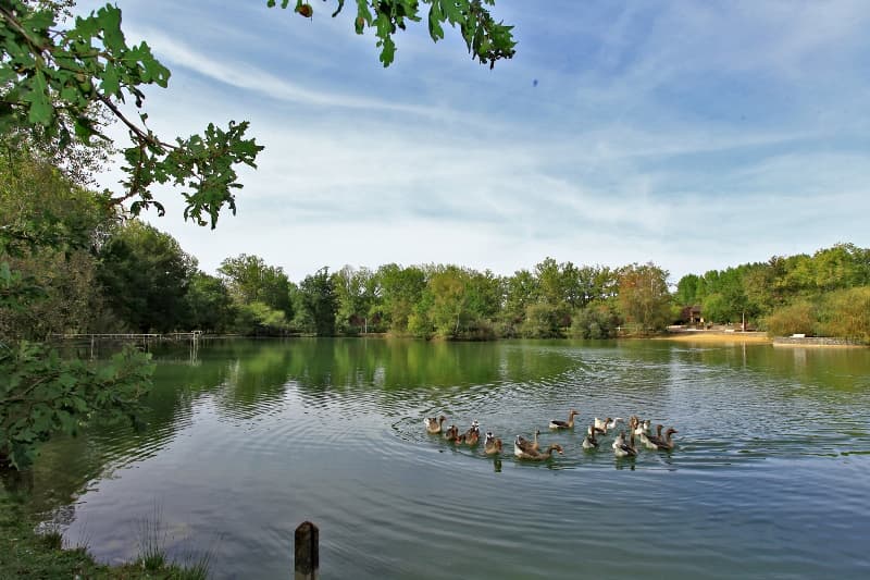 auberge etang bleu3