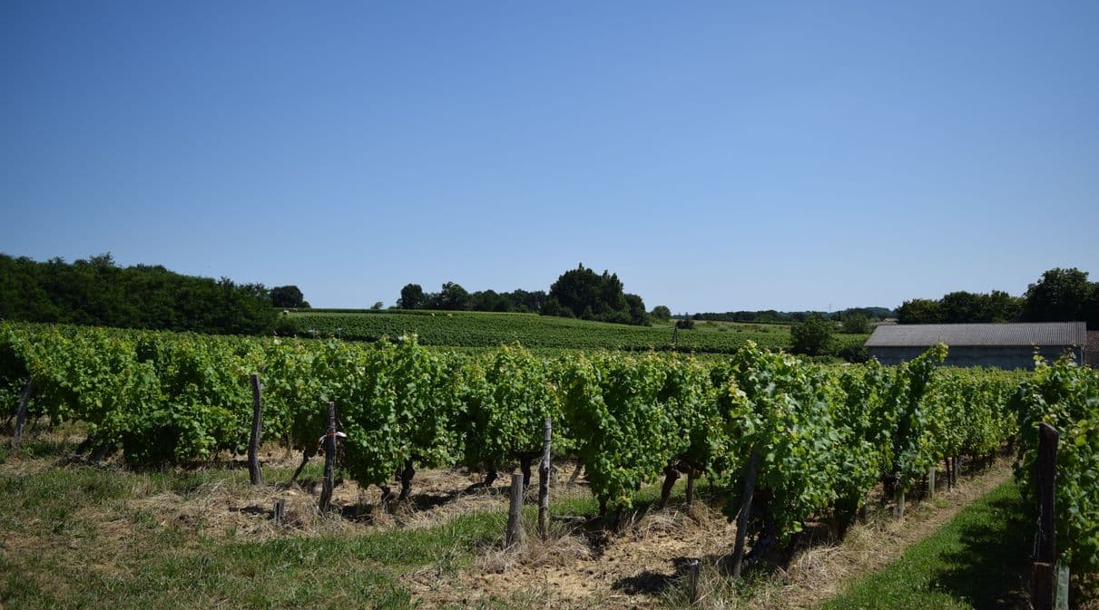 autour_velines-chateau_les_grimard (46)-2