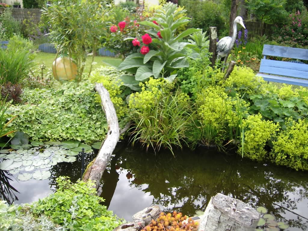 Le Paradis des Fleurs et des Oiseaux_1