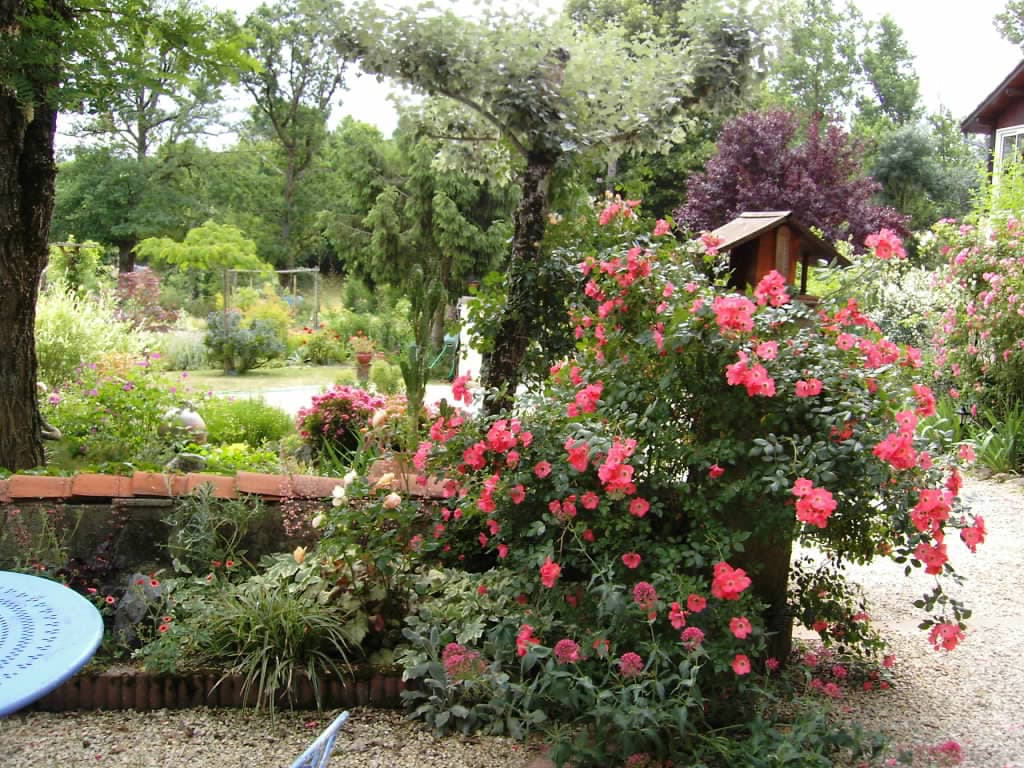 Le Paradis des Fleurs et des Oiseaux_4