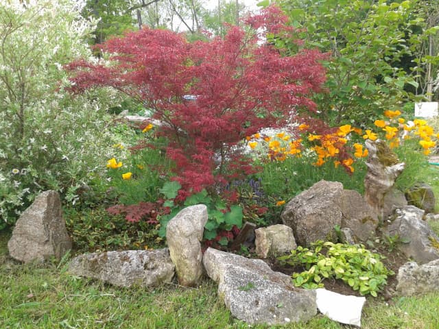 Le Paradis des Fleurs et des Oiseaux_12