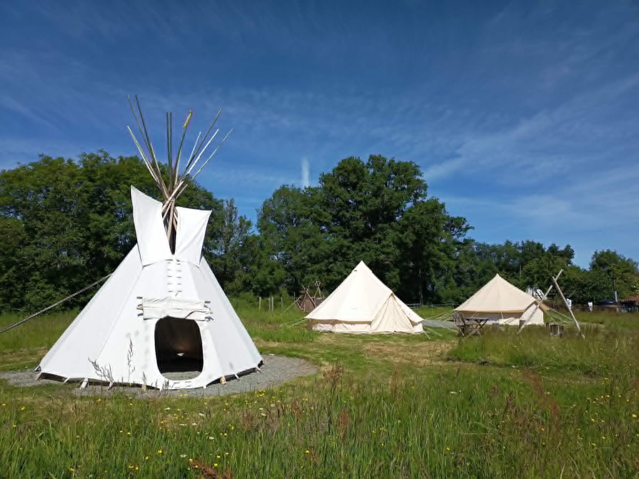 Les tipis Cheyenne et Apache au cœur de la nature