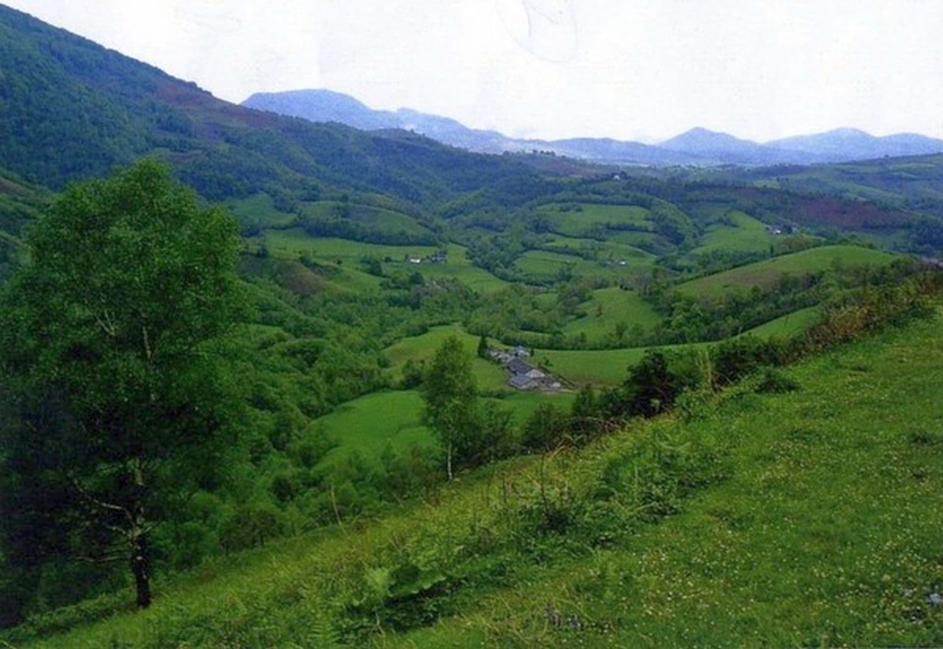Gîte Sauvestre