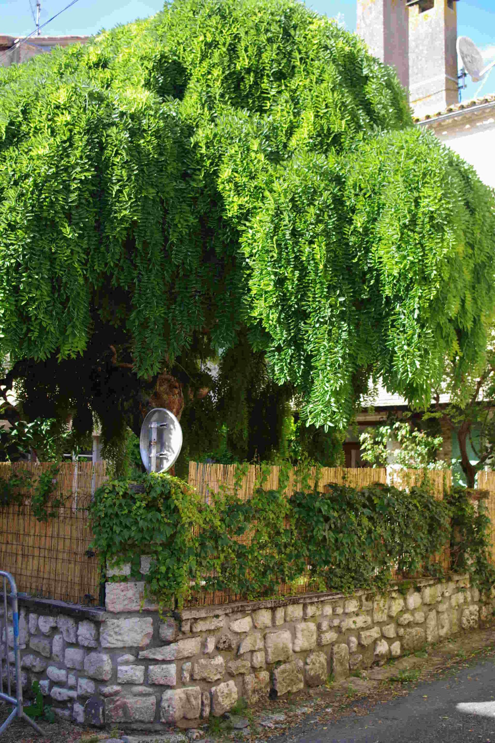 Villeréal - Gîte Saint Michel (4)