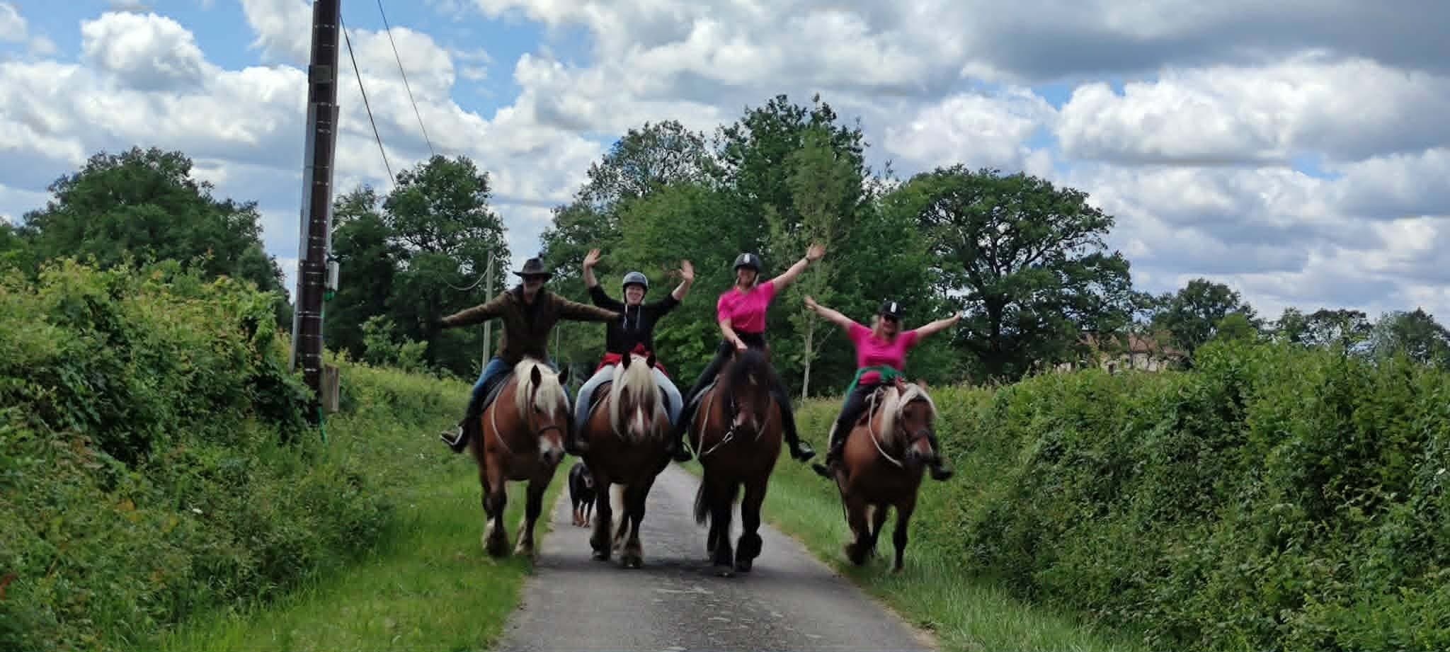 Rencontre avec les chevaux du Clos de l’Isop