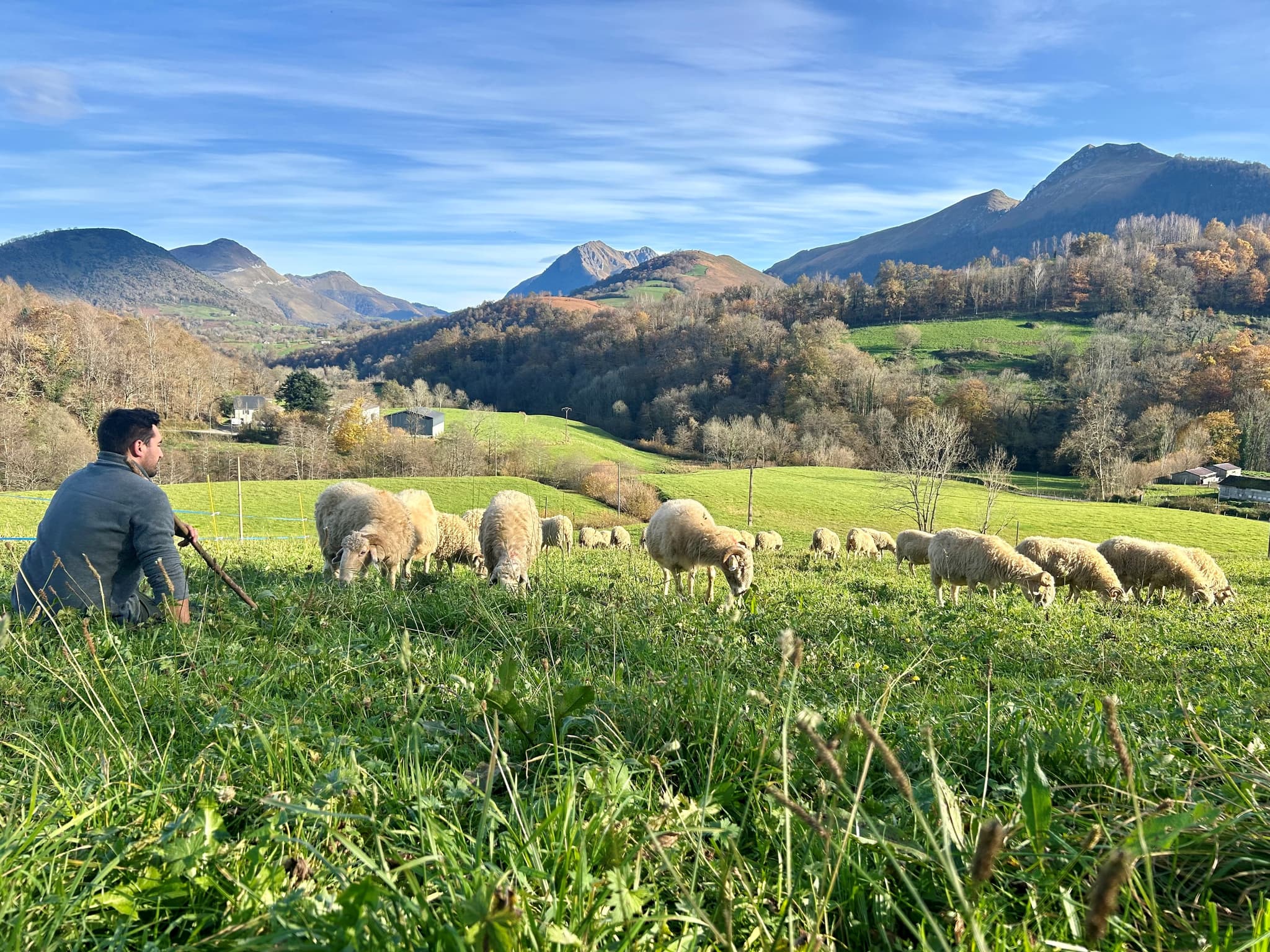 La Ferme Bidalot à Issor en Pyrénées béarnaises