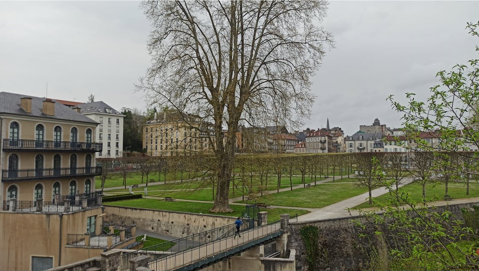 Château de Pau - (Basse-Plante) 2
