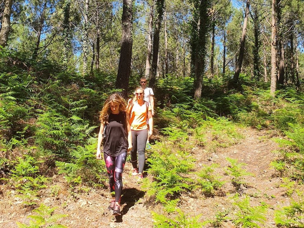 bain de foret