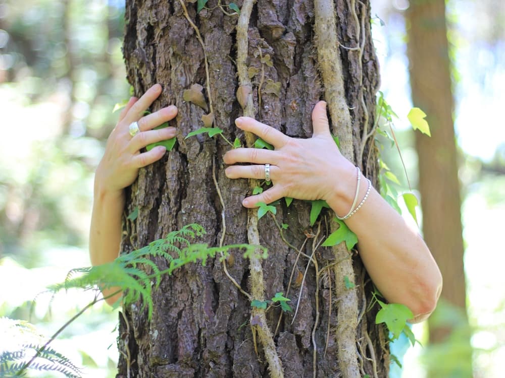 bain de foret